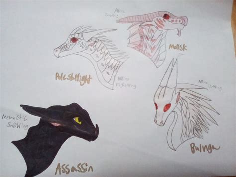 Wings Of Fire O C Albino Dragon Headshots By Captainhufflepuff501 On