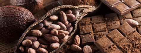 De Julio D A Mundial Del Cacao El Alimento De Los Dioses Blog De