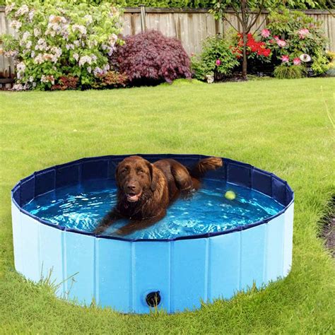 HOSSEJOY Hossejoy 1.4 ft x 3.9 ft Plastic Pet Pool | Wayfair