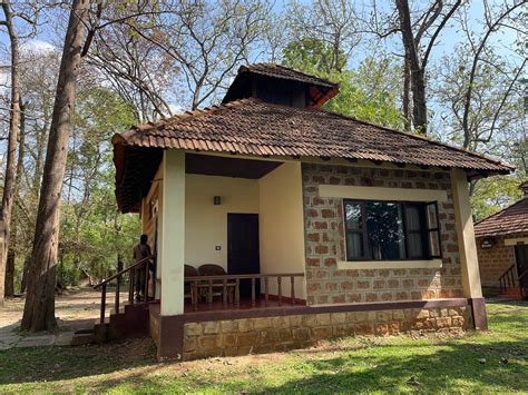 The Ultimate Guide To Dubare Elephant Camp Coorg Jungle Lodges Resorts