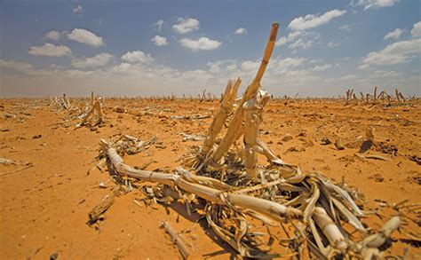 24-hour support line for Northern Cape drought victims