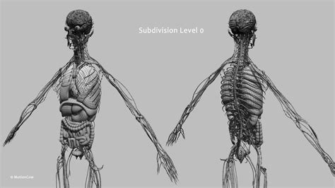 Ultimate Female Anatomy Advanced Rig MotionCow