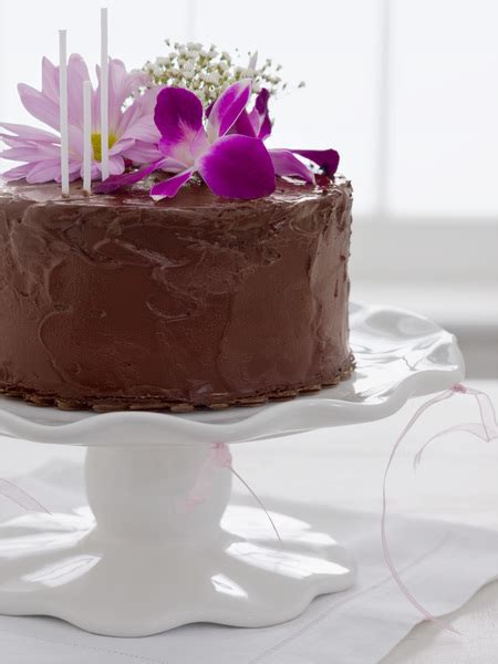 Chocolate cake with flowers Free Photo Download | FreeImages