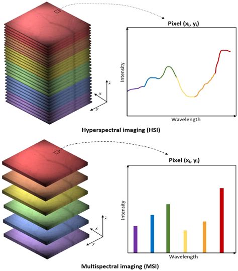 The Difference Between Hyperspectral And Multispectral Imaging 66