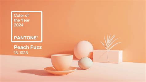 Introducing Pantone Colour Of The Year 2024 Peach Fuzz For®