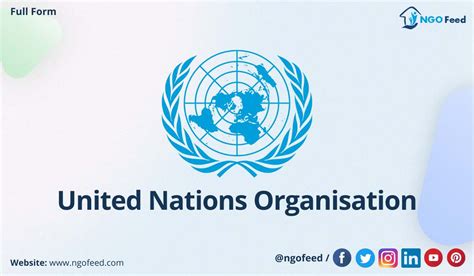 United Nations Organisation