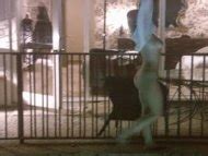 Naked Lisa Enos In Ivansxtc