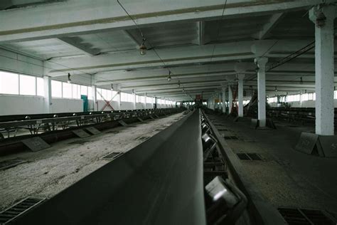 Завод комбикорма в Краснодаре | Официальный сайт комбикормового завода ...