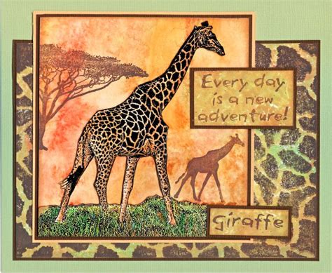 New Adventure Giraffe Card By Helen Conolly Using Darkroom Door Wild