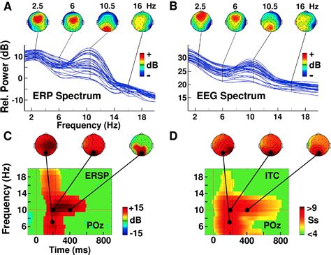 Dynamic Brain Sources Of Visual Evoked Responses Science