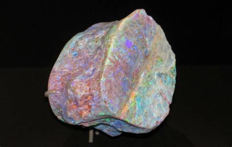 Fossilized in Opal: A Look Into The Unique Formation of Opalized Fossils - Rock Seeker