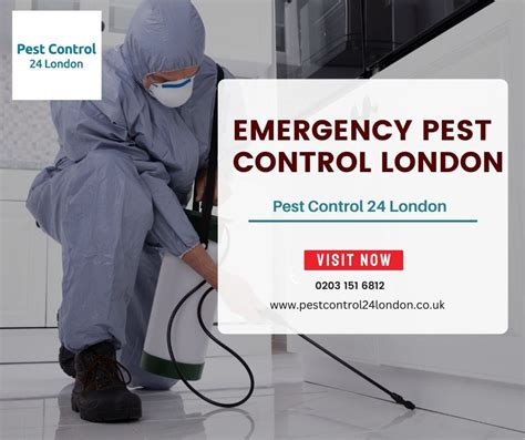 Pest Control London Take Care Of Infestations Quickly By Pest