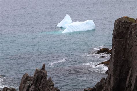 How to See Icebergs in Newfoundland — sightDOING