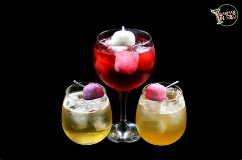 Arriba 97 Imagen Gin Tonic Receta Frutos Rojos Abzlocal Mx