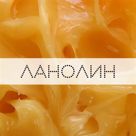 Экоразнос ®️ | ВКонтакте