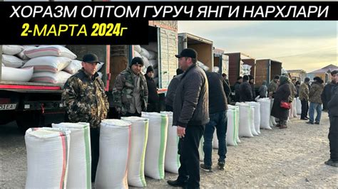 ХОРАЗМ ОПТОМ ГУРУЧ ЯНГИ НАРХЛАРИ БУГУН ГУРУЧ КУП 2 марта 2024 г