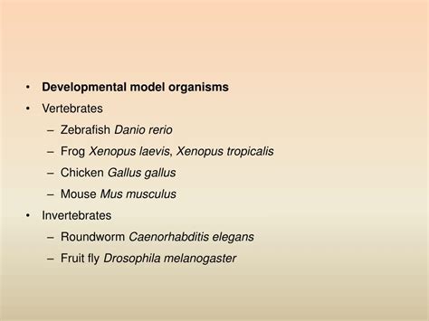 PPT The Origin Of Developmental Biology PowerPoint Presentation Free