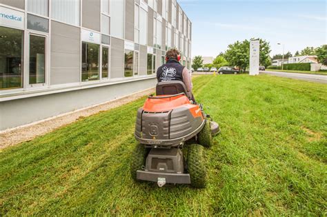 Entretien Despace Vert Et Jardin Poitiers Pelouse Taille De Haie