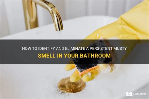 How To Identify And Eliminate A Persistent Musty Smell In Your Bathroom