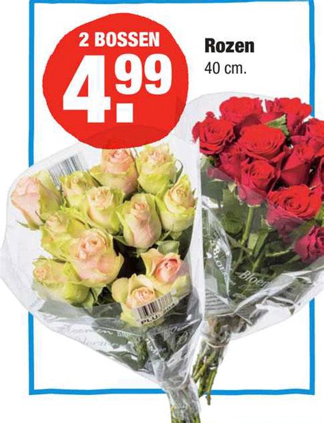 Rozen Aanbieding Bij ALDI 1Folders Nl