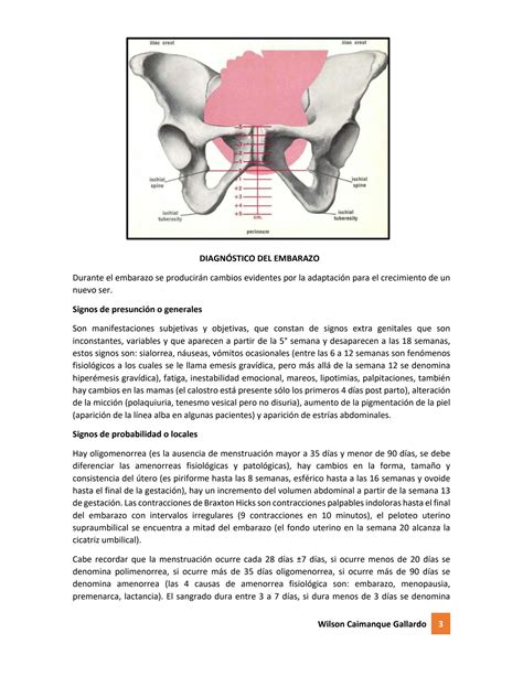 Solution Est Tica Fetal Planos De Hodge Diagn Stico De Embarazo