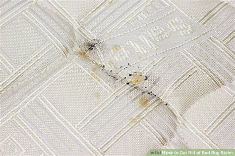 3 Ways to Get Rid of Bed Bug Stains - wikiHow