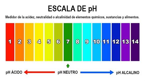 Escala De Ph En La Piel