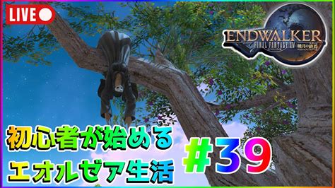 【ff14】初心者が始めるエオルゼア生活39枠目【メインストーリー】 Youtube