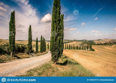 Beautiful Landscape Scenery Of Tuscany In Italy Cypress Trees Along