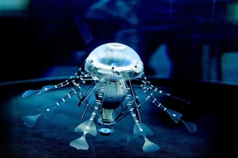 24 Underwater Drones – The Boom in Robotics Beneath the Waves | Drone India