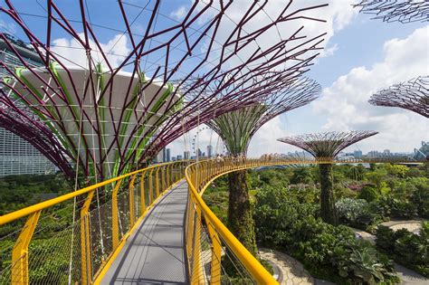 Gardens by the Bay Map: Your Essential Map Guide