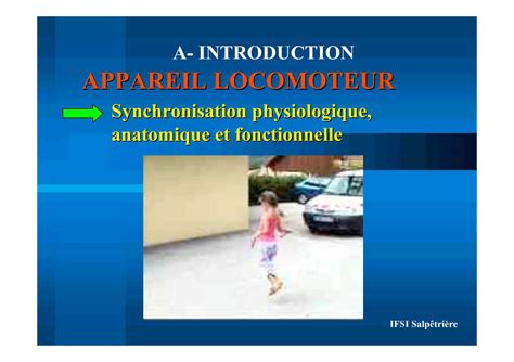 Solution Ifsi Anatomie Physiologie Appareil Locomoteur Studypool