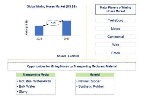 Mining Hoses Market Report Trends Forecast And Competitive Analysis