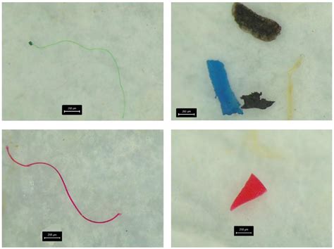 Distribution And Characteristics Of Microplastics In Nhue Day River