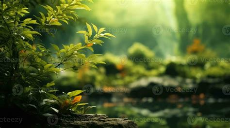 Images Nature Wallpaper Green Background