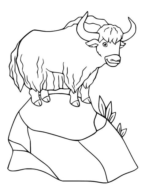 Yak Coloring Pages Seacoloring