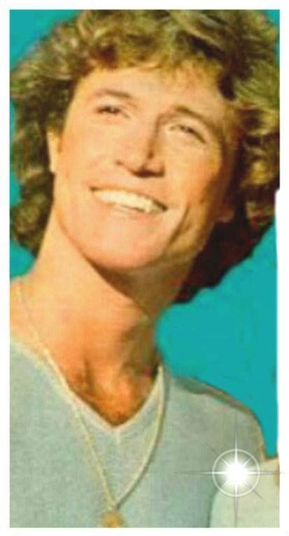 Pin De Sirley Ruy Dias Em Andy Gibb Photos