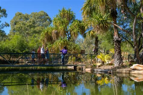 Outback at Isa Bush Tucker Experience - BOOK NOW ONLINE - Mount Isa Tourism