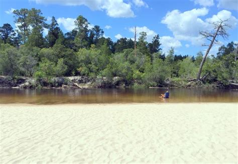 Blackwater River State Park - Live Wildly