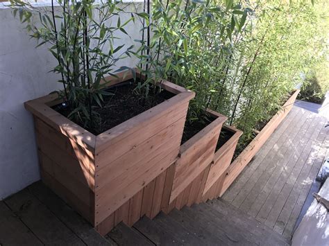 Containers And Planter Boxes For Bamboo Bamboo Sourcery Nursery And Gardens