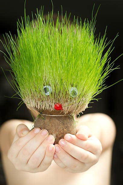 521600 Grass Head Stock Photos Pictures And Royalty Free Images Istock