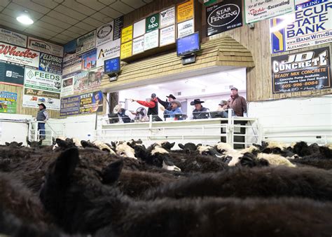 Events American Hereford Association