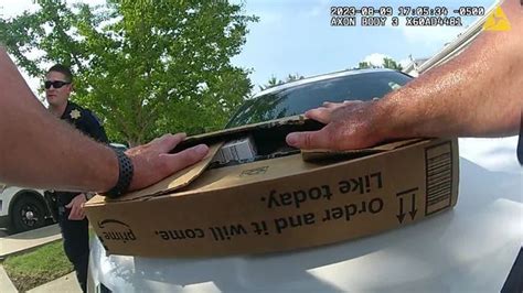 Porch Pirate Arrested In Brookside