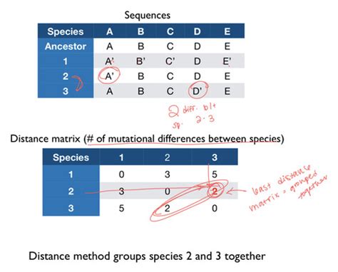 Biol Exam Flashcards Quizlet