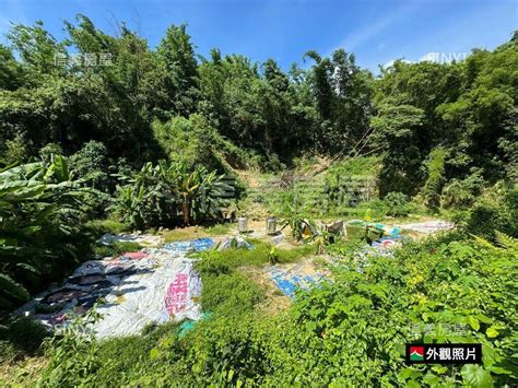 土地新化約258坪農地台南市新化區大坑尾段 樂屋網 土地買賣