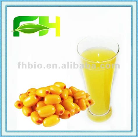 Natural Seabuckthorn Single Puree China Fh Price Supplier Food