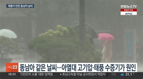 동남아 날씨 같아요찜솥 폭염·도깨비 소나기 왜 유머움짤이슈 에펨코리아