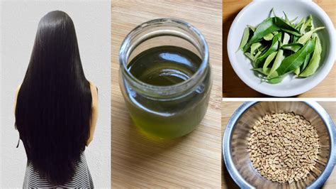 Homemade Curry Leaves Hair Oil For Faster Hair Growth Natural Cleanse