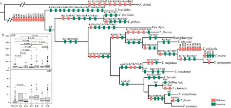 Figure 4 From Plastome Phylogenomics Provide Insight Into The Evolution