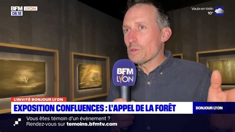 Musée des Confluences L appel de la forêt une nouvelle exposition à